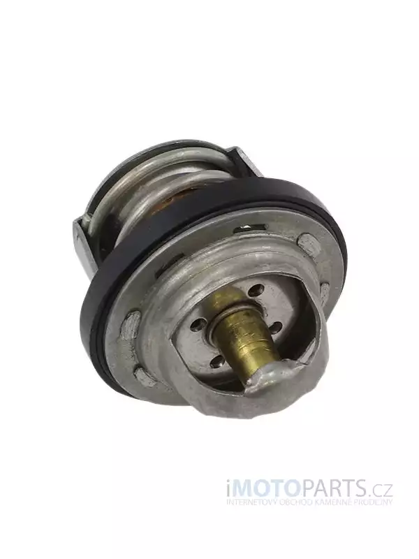 TERMOSTAT POLARIS