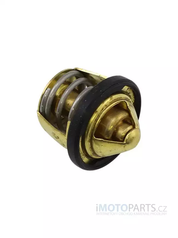 TERMOSTAT POLARIS